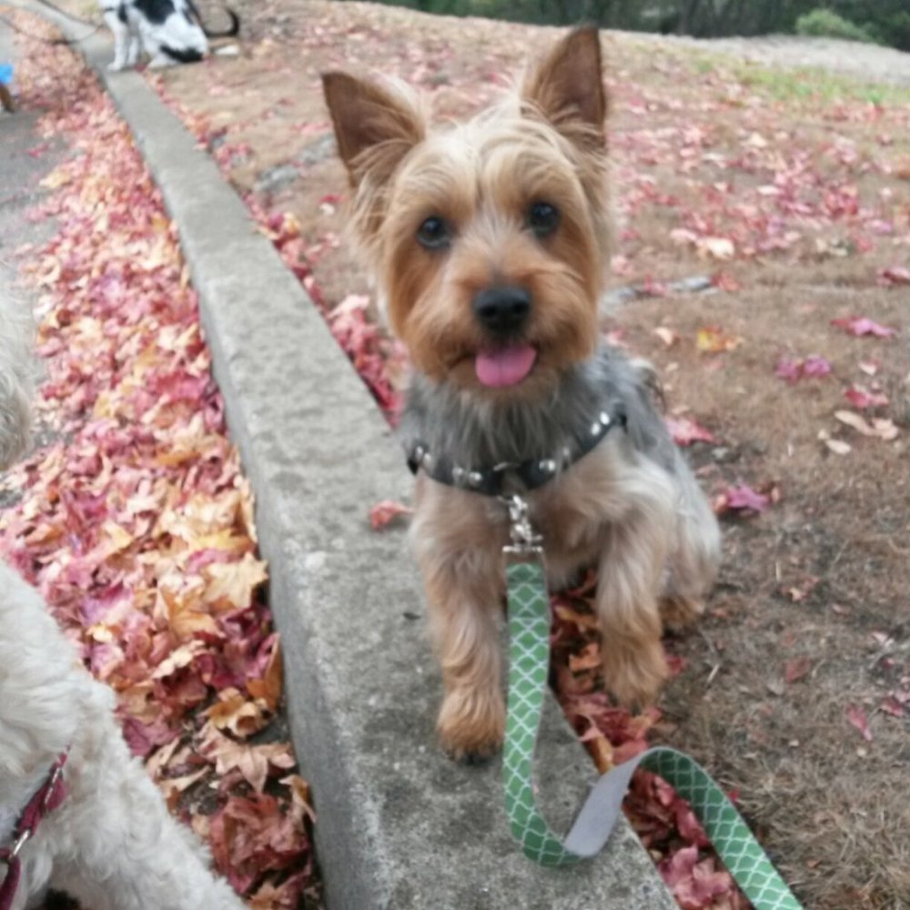 Meet your Posher, Kayla jean